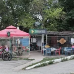 Automatikus vázlat